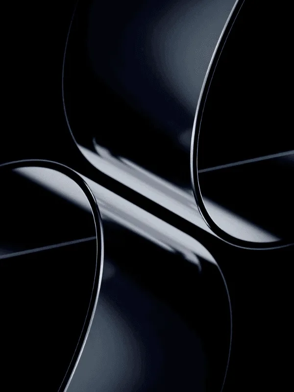 Two dark polished ribbons curving past one another, a single bright highlight running down the line where they meet